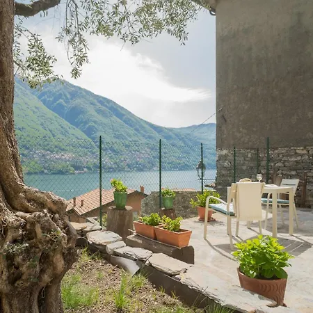 La Quiete With Private Garden By Rent *