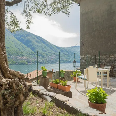 公寓 La Quiete With Private Garden By Rent *